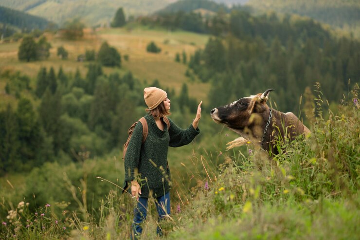 Foto gratuito donna che cerca di avvicinarsi a una mucca