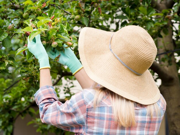 Donna che esamina alcune piante nel suo giardino