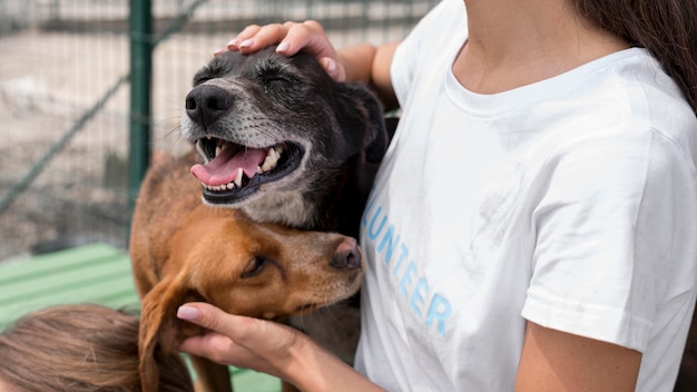 Donna che gioca con cura cani da salvataggio al rifugio