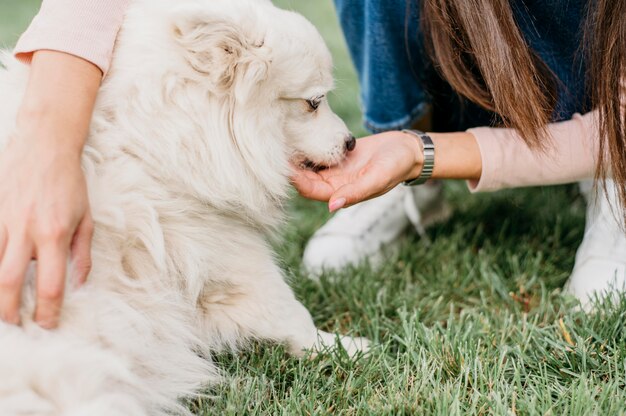 Donna che gioca con il simpatico cane