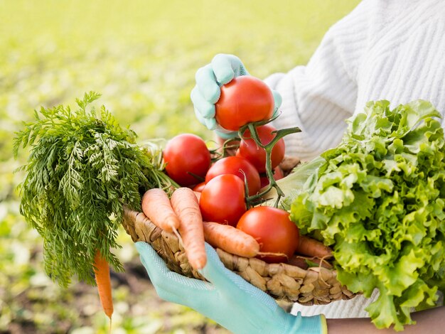 Donna che giudica un cestino pieno del primo piano delle verdure