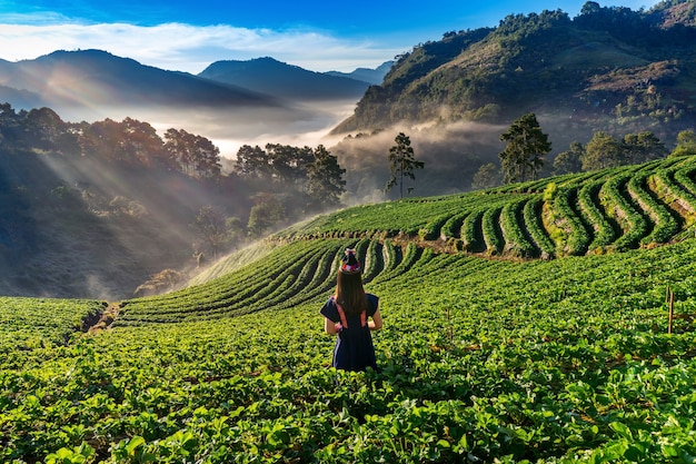 Donna che indossa la tribù della collina vestito nel giardino di fragole su Doi Ang Khang, Chiang Mai, Thailandia.