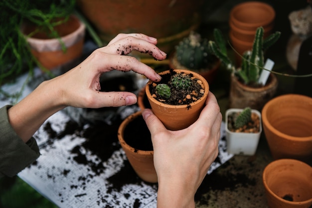 Donna che lavora in un negozio di giardinaggio