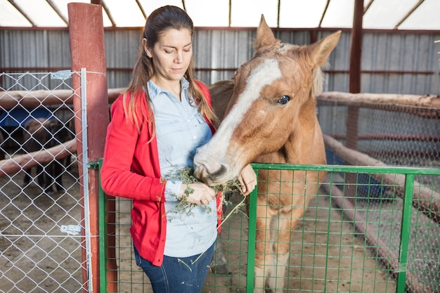 Donna concentrata l&#39;alimentazione del cavallo