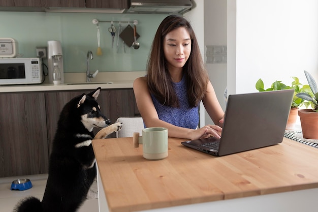 Donna del colpo medio che lavora con il computer portatile