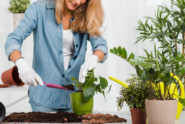 Donna del primo piano che pianta fiore