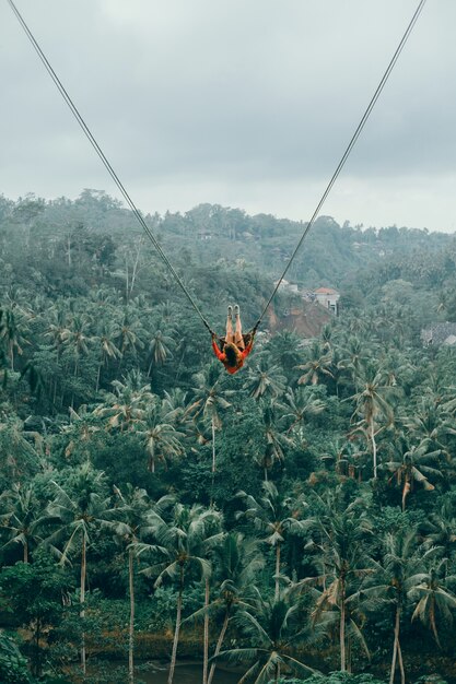 Donna di bellezza su oscillazione, natura di Bali, faccia felice, giungla