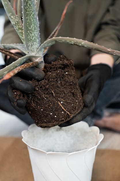 Donna di vista frontale che fa giardinaggio a casa