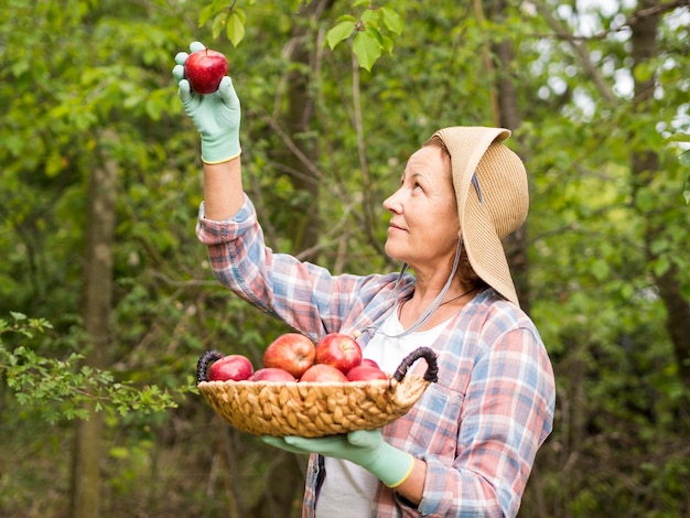 Donna di vista laterale che giudica un cestino pieno delle mele