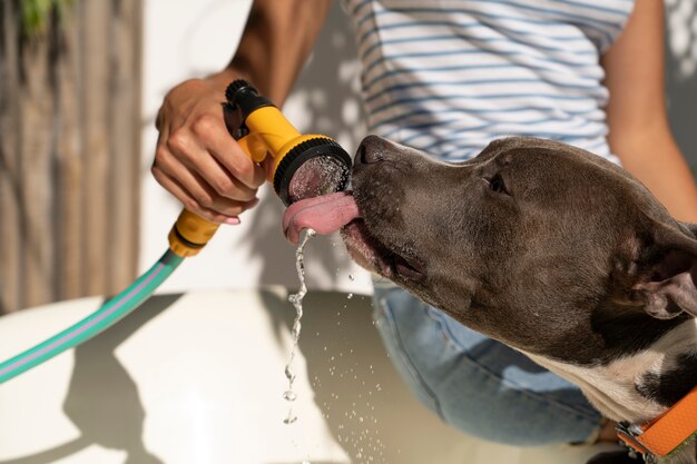 Donna di vista laterale con il cane carino