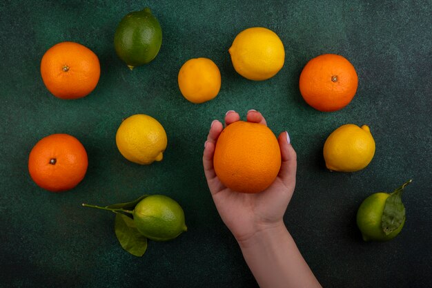 Donna di vista superiore che tiene arancia con limoni e limette su priorità bassa verde