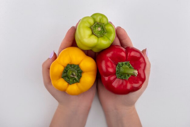 Donna di vista superiore che tiene i peperoni dolci colorati nelle sue mani su una priorità bassa bianca