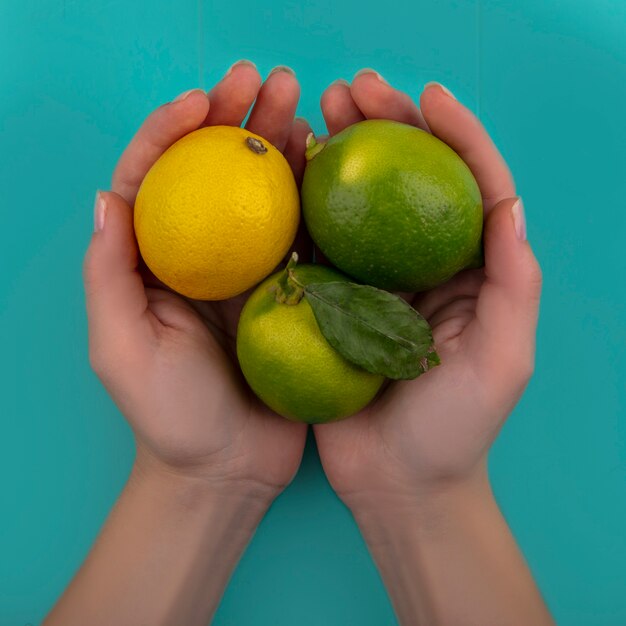 Donna di vista superiore che tiene nelle mani limette con limone su uno sfondo turchese