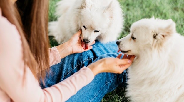 Donna felice di giocare con cani carini