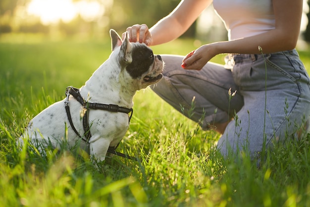 Donna irriconoscibile che addestra bulldog francese nel parco