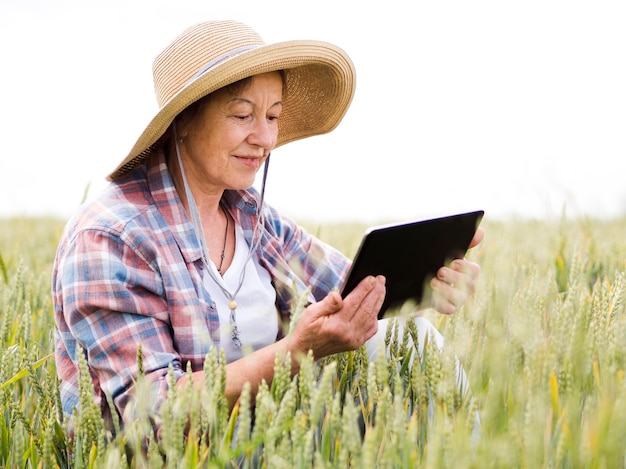 Donna più anziana che si siede su un campo di frumento