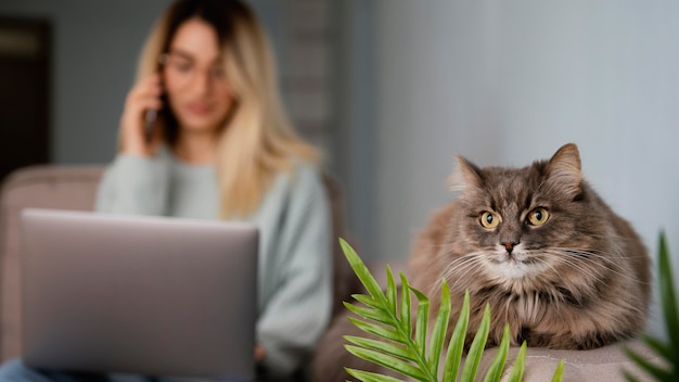 Donna seduta al chiuso con il suo gatto