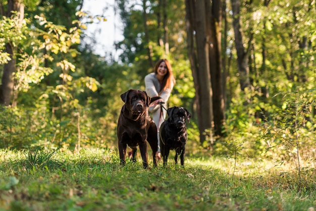 Donna sorridente che cammina con i cani nel parco