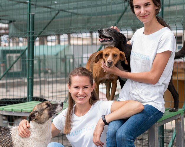 Donna sorridente di trascorrere del tempo con simpatici cani da salvataggio al rifugio