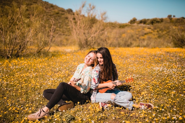 Donne adorabili con le ukulele in prato