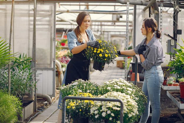 Donne che lavorano in una serra con vasi di fiori