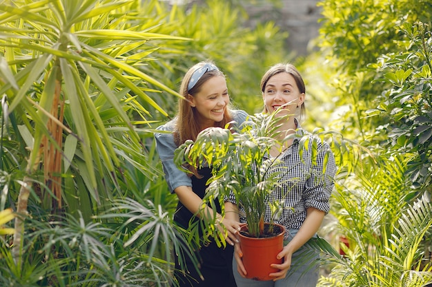 Donne che lavorano in una serra con vasi di fiori