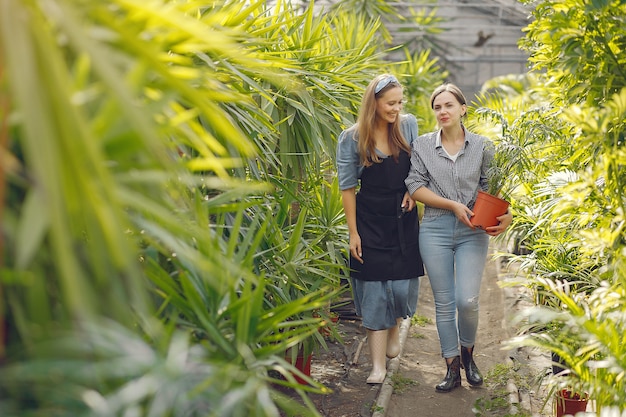 Donne che lavorano in una serra con vasi di fiori