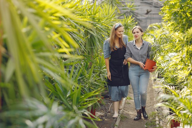 Donne che lavorano in una serra con vasi di fiori