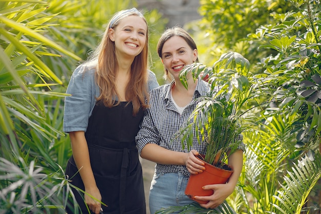 Donne che lavorano in una serra con vasi di fiori