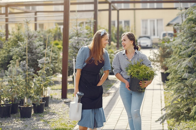 Donne che lavorano in una serra con vasi di fiori