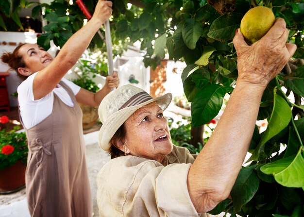 Donne che lavorano insieme in campagna