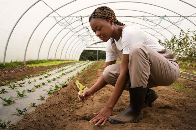 Donne contadine a tutto campo che lavorano