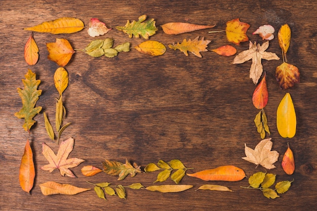 Doppia struttura delle foglie di autunno su fondo di legno