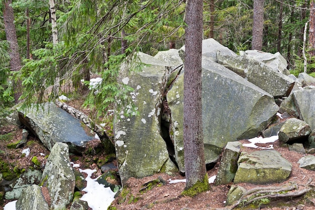 Dovbush rocce nella foresta verde alle montagne dei Carpazi