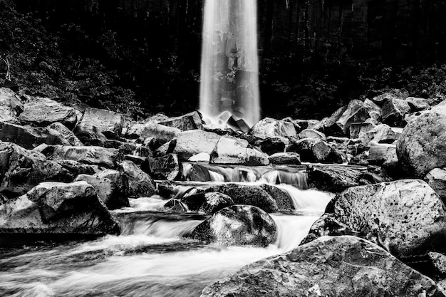 Drammatico paesaggio a cascata in bianco e nero