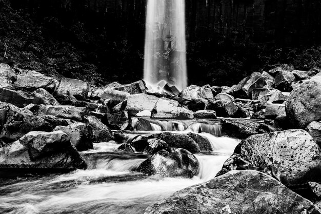 Drammatico paesaggio a cascata in bianco e nero