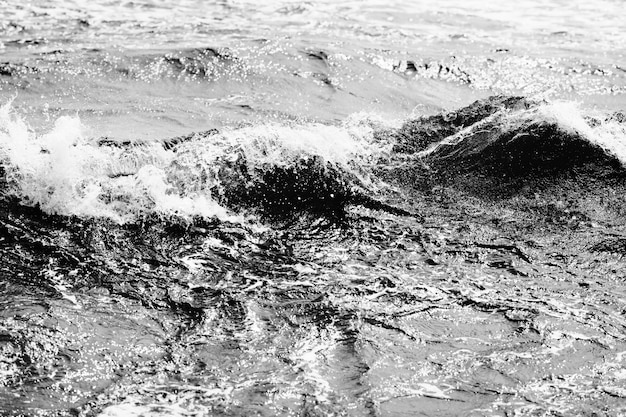 Drammatico paesaggio marino in bianco e nero