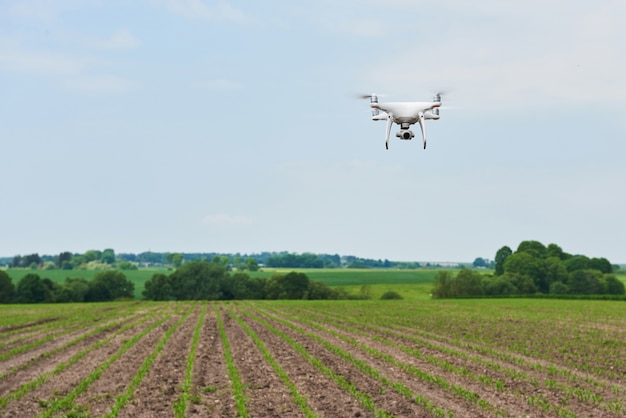 Drone quad elicottero con fotocamera digitale ad alta risoluzione sul campo di mais verde,