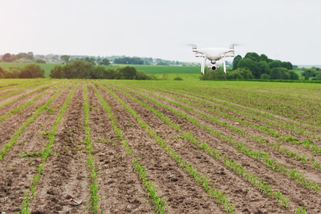 Drone quad elicottero con fotocamera digitale ad alta risoluzione sul campo di mais verde