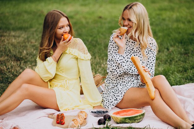 Due amici di ragazze che hanno picnic nel parco