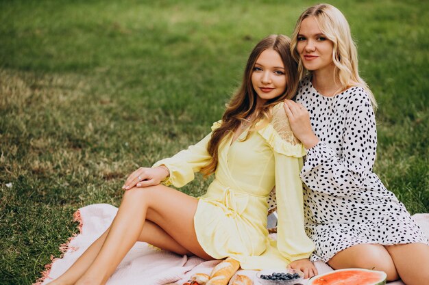 Due amici di ragazze che hanno picnic nel parco
