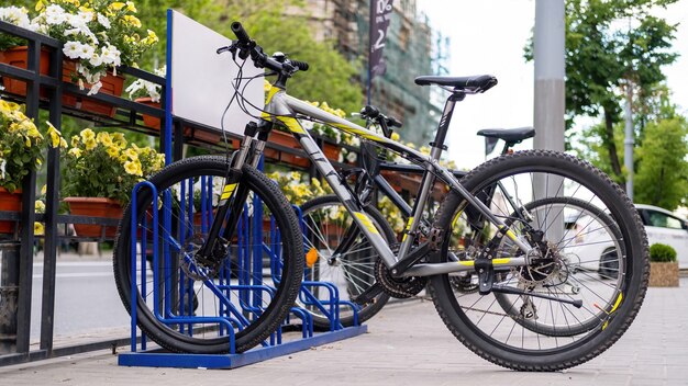 Due biciclette parcheggiate in una strada vicino a una strada, fiori