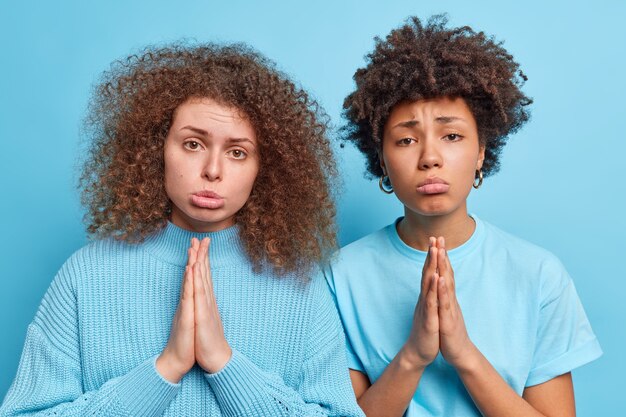 Due donne colpevoli con i capelli ricci tengono i palmi premuti insieme hanno supplicante angelo espressioni innocenti chiede pietà o si scusano vestite con abiti casual isolati sul muro blu. Posa dell'accattonaggio