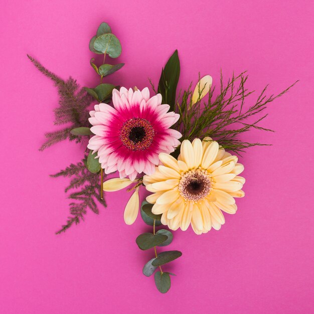 Due fiori di gerbera con rami sul tavolo