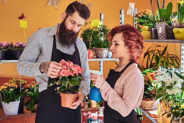 Due fioristi, bella donna rossa e maschio barbuto che indossano uniformi che lavorano nel negozio di fiori.