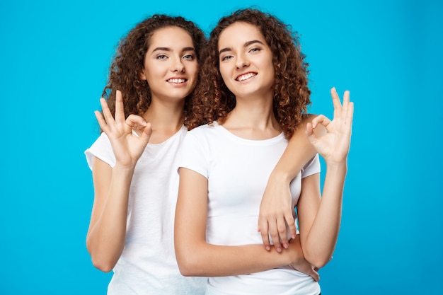 Due gemelli graziosi delle ragazze che sorridono, mostrando bene sopra la parete blu