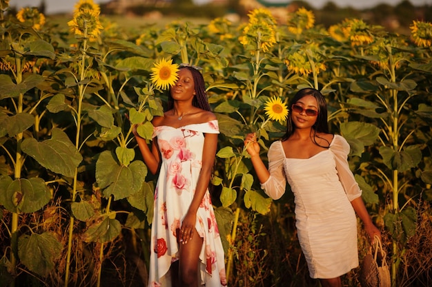 Due piuttosto giovani amici neri donna indossano abiti estivi posano in un campo di girasoli