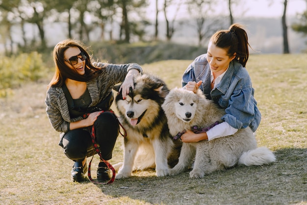 Due ragazze alla moda in un campo soleggiato con i cani