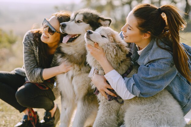 Due ragazze alla moda in un campo soleggiato con i cani