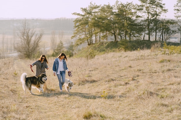 Due ragazze alla moda in un campo soleggiato con i cani